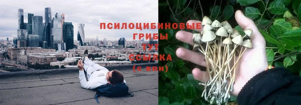 марки nbome Бородино
