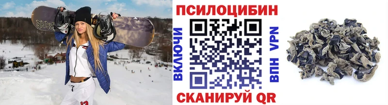 Галлюциногенные грибы прущие грибы  наркотики  мега как зайти  Кизилюрт 